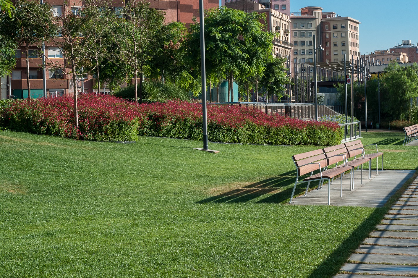 Construcció i conservació de jardins i parcs