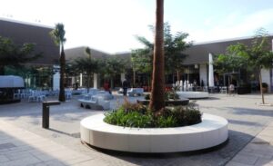 Jardineria tècnica per a entorns urbans: guia pràctica per a ajuntaments i empreses